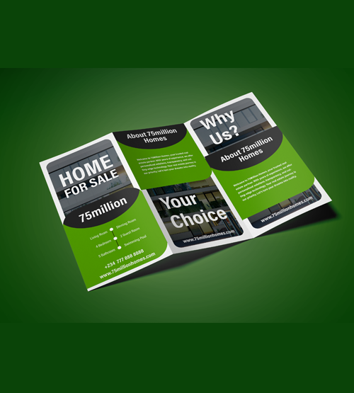 DL Tri-fold Brochures