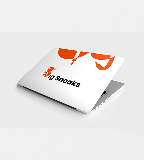 Laptop Skins